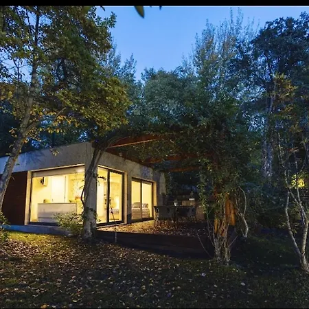 Charming In 45 Sqm View & Pool Santa Cruz do Douro