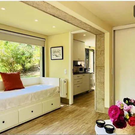 Lejlighed Charming In 45 Sqm View & Pool Santa Cruz do Douro