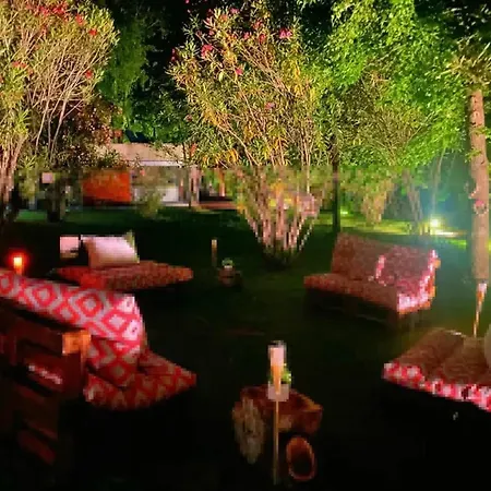 Charming In 45 Sqm View & Pool アパート Santa Cruz do Douro