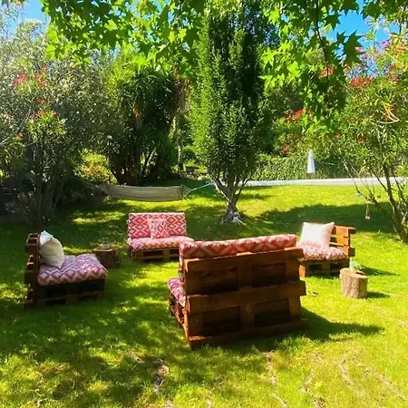 Apartment Charming In 45 Sqm View & Pool Santa Cruz do Douro