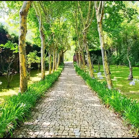 Lejlighed Charming In 45 Sqm View & Pool